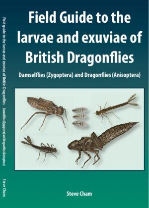 Cover image of Field Guide to the Larvae and Exuviae of British Dragonflies