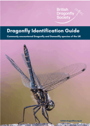 Identification Guide