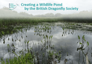 Create a Wildlife Pond - Online On-Demand Training Course
